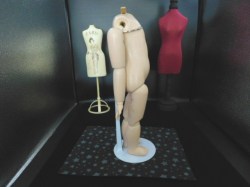 seeley body side